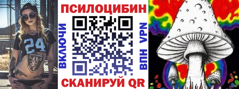 купить  цена  Пионерский  Галлюциногенные грибы Psilocybine cubensis 